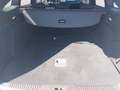 Ford Focus 1.0 EcoBoost 125 CV SW ST-Line Noir - thumbnail 12