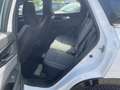 Renault Austral Equilibre Automatik Weiß - thumbnail 14