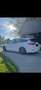 Ford Focus Traveller 2,0 EcoBlue SCR ST mit Styling-Paket Weiß - thumbnail 4
