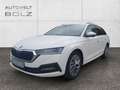 Skoda Octavia Combi Tour 2.0 TDI Navi DigiCock LED ACC El.Heckkl Wit - thumbnail 1