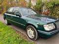 Mercedes-Benz E 250 E 250 D Multiklepper Verde - thumbnail 11