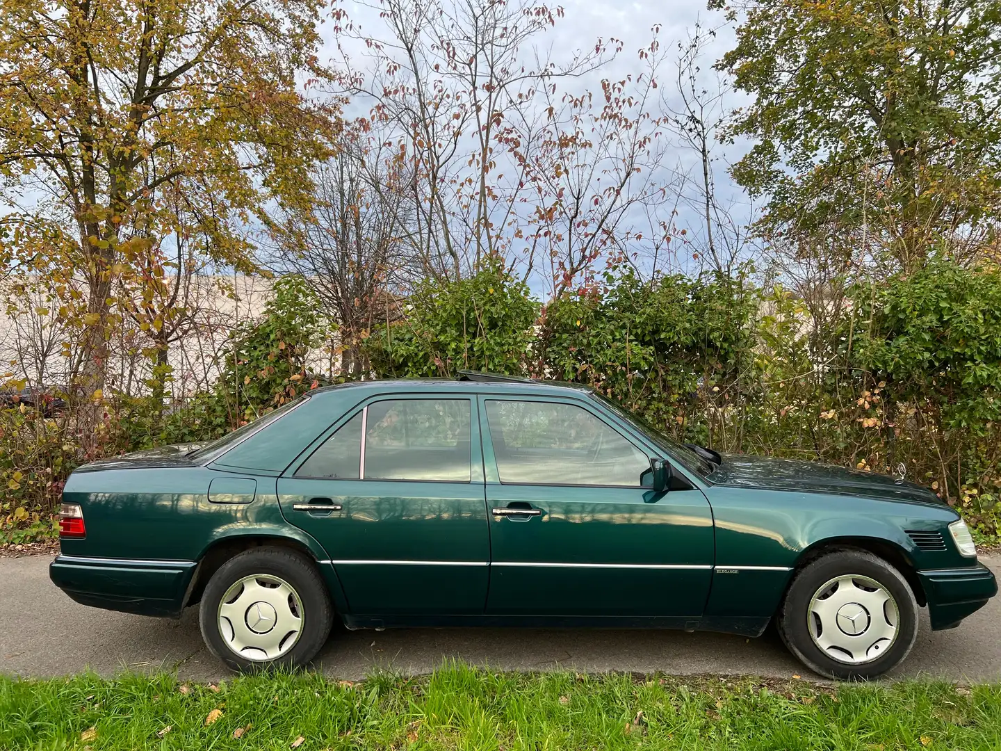 Mercedes-Benz E 250 E 250 D Multiklepper Verde - 2