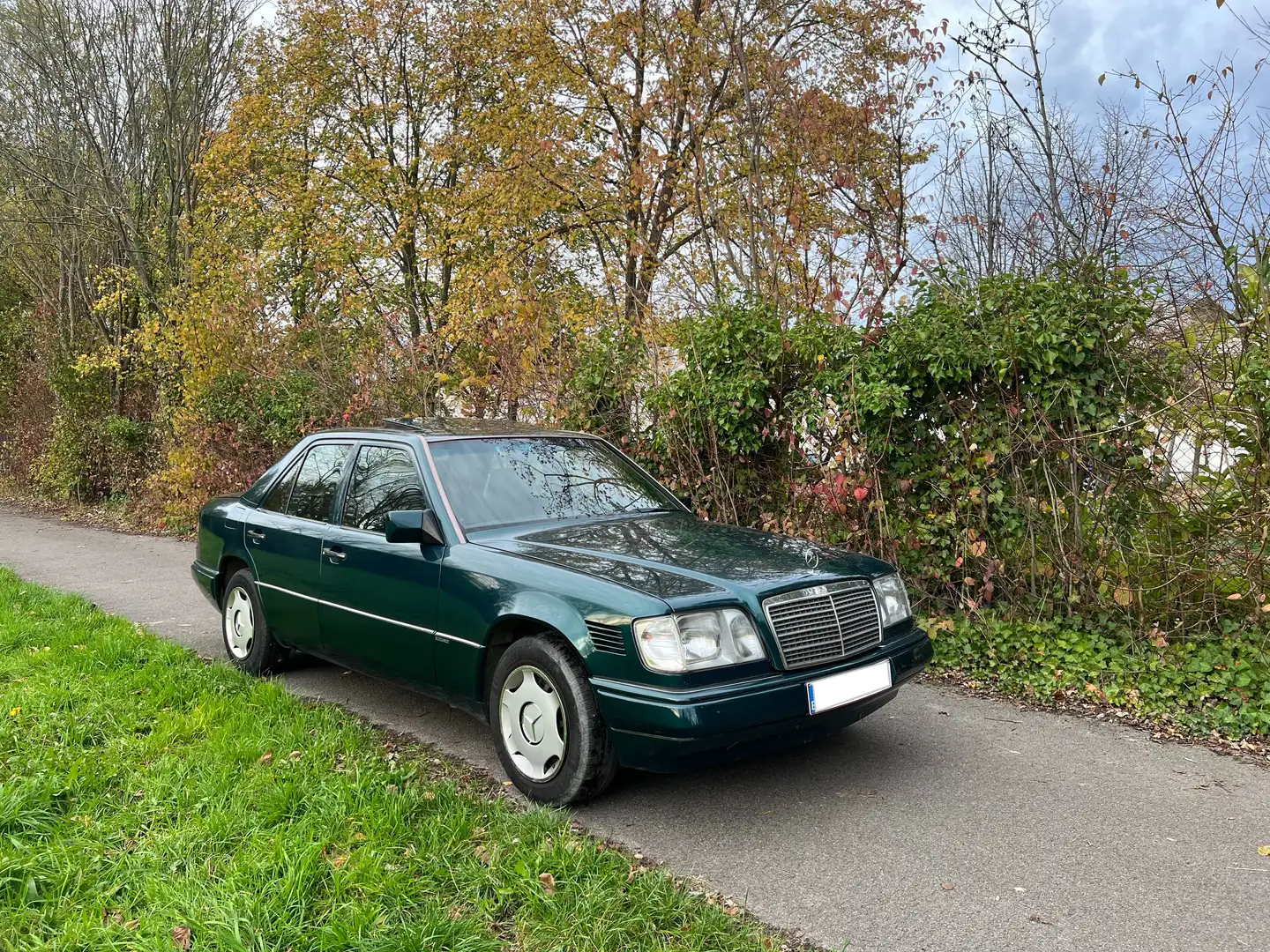 Mercedes-Benz E 250 E 250 D Multiklepper Verde - 1
