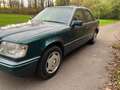 Mercedes-Benz E 250 E 250 D Multiklepper Verde - thumbnail 12