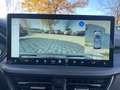 Ford Kuga Active X 2.5 FHEV IACC*PANO*LED-MATRIX*4xSHZ Grün - thumbnail 16