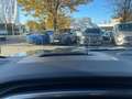 Ford Kuga Active X 2.5 FHEV IACC*PANO*LED-MATRIX*4xSHZ Grün - thumbnail 11