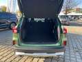 Ford Kuga Active X 2.5 FHEV IACC*PANO*LED-MATRIX*4xSHZ Grün - thumbnail 30