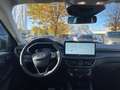 Ford Kuga Active X 2.5 FHEV IACC*PANO*LED-MATRIX*4xSHZ Grün - thumbnail 9