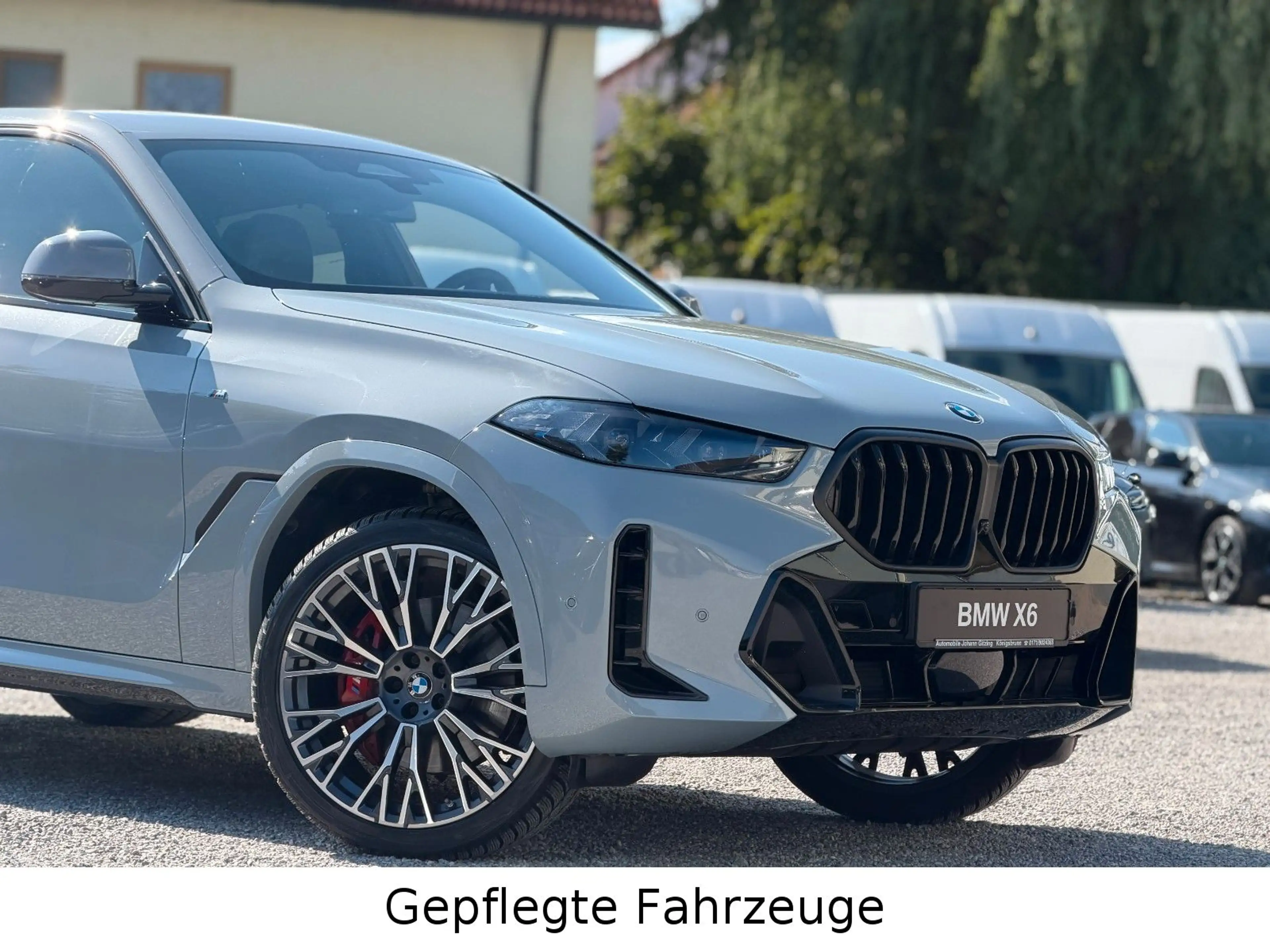 BMW X6 xDrive40i M Sport PRO 22" Soft AHK IconicGlow — photo 5