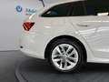 Skoda Octavia Combi 2,0 TDI Style DSG Weiß - thumbnail 28