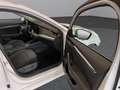 Skoda Octavia Combi 2,0 TDI Style DSG Weiß - thumbnail 20