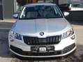 Skoda Karoq Ambition TSI Grau - thumbnail 2