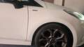 Ford Fiesta Fiesta 1.0 Ecoboost 95 CV 5 porte ST-Line Bianco - thumbnail 6