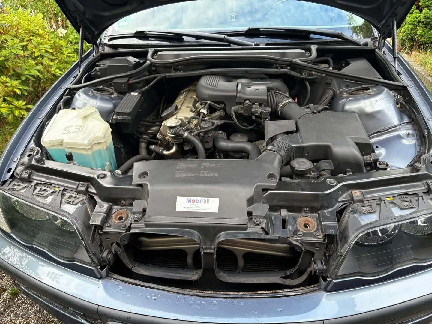 BMW 318 318 Executive - 1