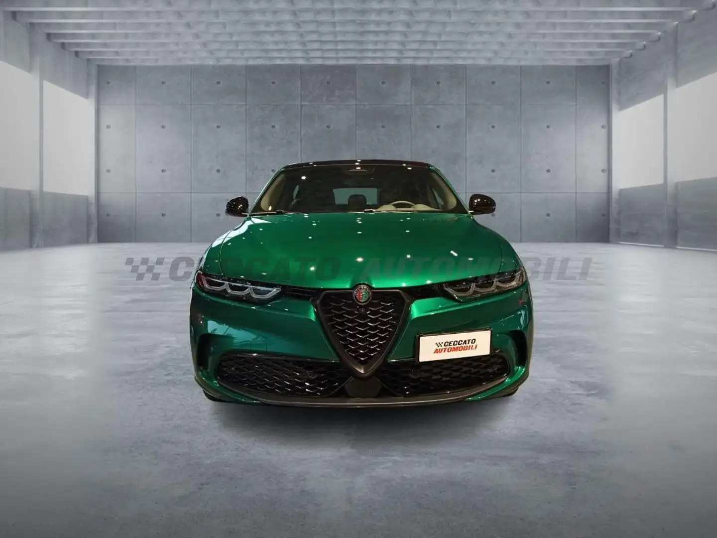 Alfa Romeo Tonale Tonale My24 Hybrid 160cv Tributo Italiano Verde - 2