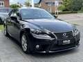 Lexus IS 300 300h Luxury Line | Schuifdak, Mark Levinson, Trekh Schwarz - thumbnail 9