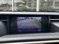 Lexus IS 300 300h Luxury Line | Schuifdak, Mark Levinson, Trekh Schwarz - thumbnail 32