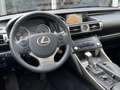 Lexus IS 300 300h Luxury Line | Schuifdak, Mark Levinson, Trekh Schwarz - thumbnail 18