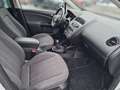 SEAT Altea XL Chili-Copa 2,0 TDi CR DPF 4WD Weiß - thumbnail 13