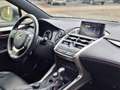 Lexus NX 300h AWD F Sport Line | Panoramadak, Leer, Stoelverwarm Blanc - thumbnail 13