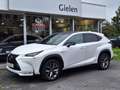 Lexus NX 300h AWD F Sport Line | Panoramadak, Leer, Stoelverwarm Blanc - thumbnail 35