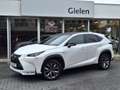 Lexus NX 300h AWD F Sport Line | Panoramadak, Leer, Stoelverwarm Blanc - thumbnail 1