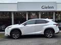 Lexus NX 300h AWD F Sport Line | Panoramadak, Leer, Stoelverwarm Blanc - thumbnail 34
