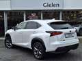 Lexus NX 300h AWD F Sport Line | Panoramadak, Leer, Stoelverwarm Blanc - thumbnail 38