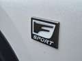 Lexus NX 300h AWD F Sport Line | Panoramadak, Leer, Stoelverwarm Blanc - thumbnail 14