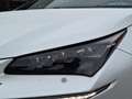Lexus NX 300h AWD F Sport Line | Panoramadak, Leer, Stoelverwarm Blanc - thumbnail 4