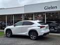 Lexus NX 300h AWD F Sport Line | Panoramadak, Leer, Stoelverwarm Blanc - thumbnail 32