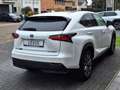Lexus NX 300h AWD F Sport Line | Panoramadak, Leer, Stoelverwarm Blanc - thumbnail 31