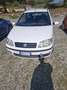 Fiat Punto 3p 1.3 mjt 16v Actve - thumbnail 2