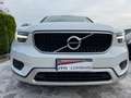 Volvo XC40 Volvo XC40 D3 VAN (problema FAP) Bianco - thumbnail 15