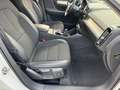 Volvo XC40 Volvo XC40 D3 VAN (problema FAP) Bianco - thumbnail 10