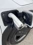 Kia EV4 Hatchback EARTH PLUS/81,4KWH Weiß - thumbnail 11