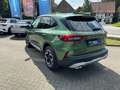 Ford Kuga Hybrid Active X Digitales Cockpit B & O 360 Kamera Grün - thumbnail 2