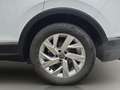 Volkswagen Tiguan 1.5 TSI Elegance *AHK* Weiß - thumbnail 20