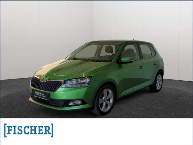 Imagine Skoda Fabia 1.0 Cool Plus SHZ Klima BT PDC hinten DAB+