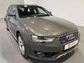 Audi A4 allroad 2.0 TDI Quattro Leder Xenon Panorama ACC Gris - thumbnail 4