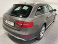 Audi A4 allroad 2.0 TDI Quattro Leder Xenon Panorama ACC Gris - thumbnail 3