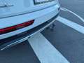 Audi Q5 Q5 40 TDI quattro-ultra Advanced 204cv micr hibryd Blanco - thumbnail 5