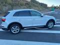 Audi Q5 Q5 40 TDI quattro-ultra Advanced 204cv micr hibryd Blanco - thumbnail 3