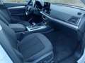 Audi Q5 Q5 40 TDI quattro-ultra Advanced 204cv micr hibryd Blanco - thumbnail 7