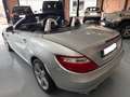 Mercedes-Benz SLK 250 BE 7G Plus Gris - thumbnail 6