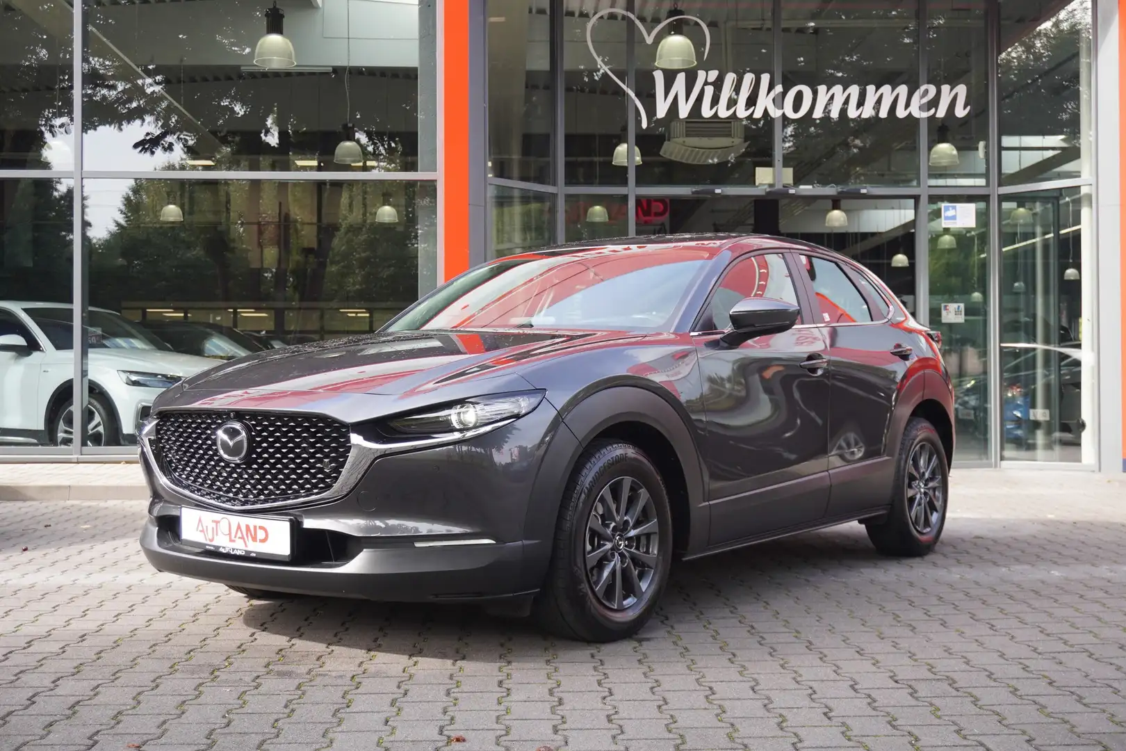 Mazda CX-30 2.0 MHEV Navi ACC 360° PDC LED DAB USB Grau - 2