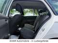 Skoda Fabia Combi Ambition|PDC|APPLECAR|TEMPOMAT|ASS Weiß - thumbnail 15