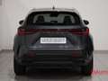 Lexus NX 300 NX Plug-in 4WD Premium + Gris - thumbnail 5