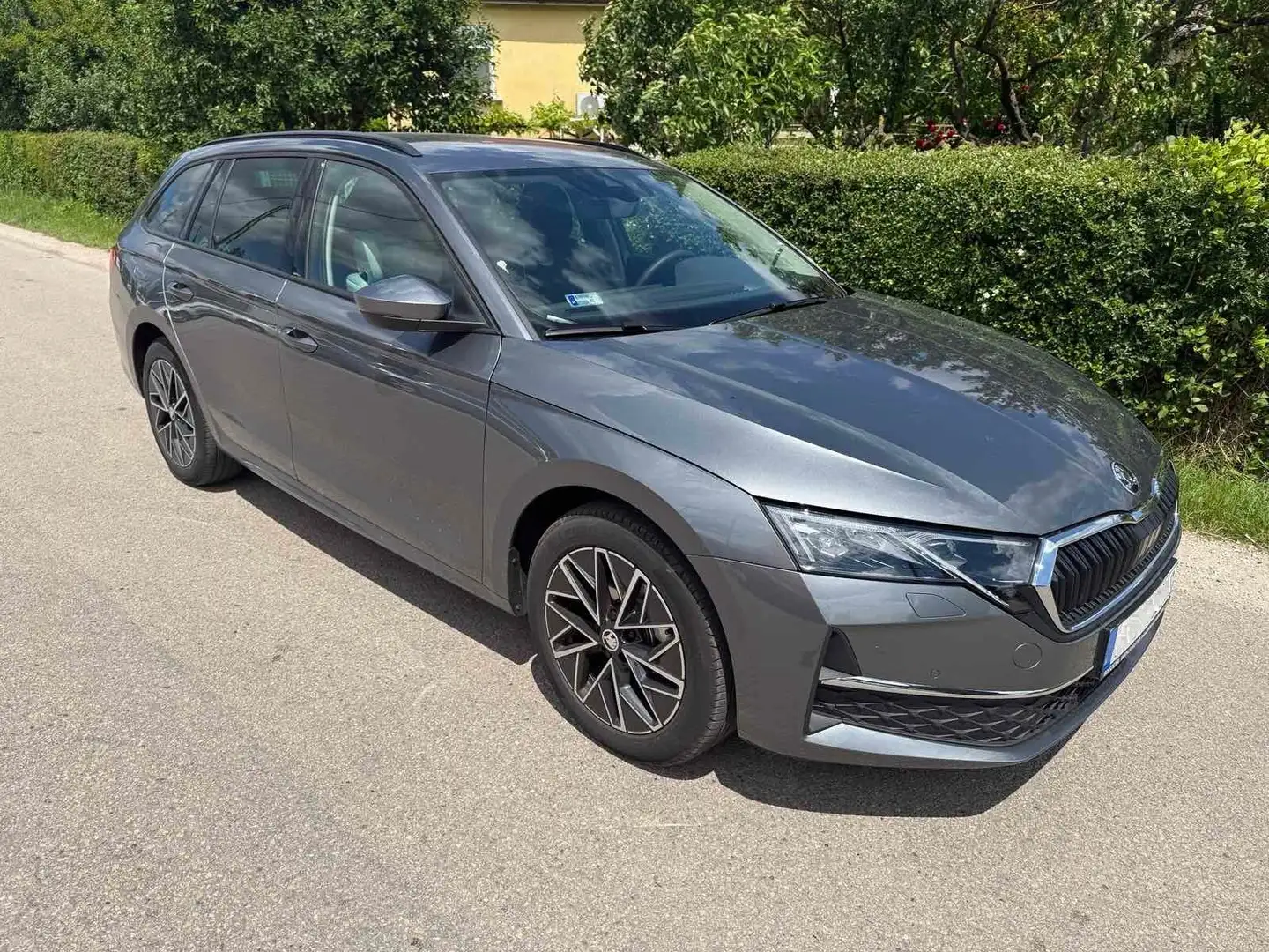 Skoda Octavia Combi 2.0 TDI DSG Selection AHK Matrix Grau - 1