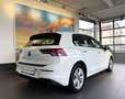 Volkswagen Golf 1.0 TSI OPF Life KAM+ACC+AHK+NAVI+KOMF+SPUR Weiß - thumbnail 8